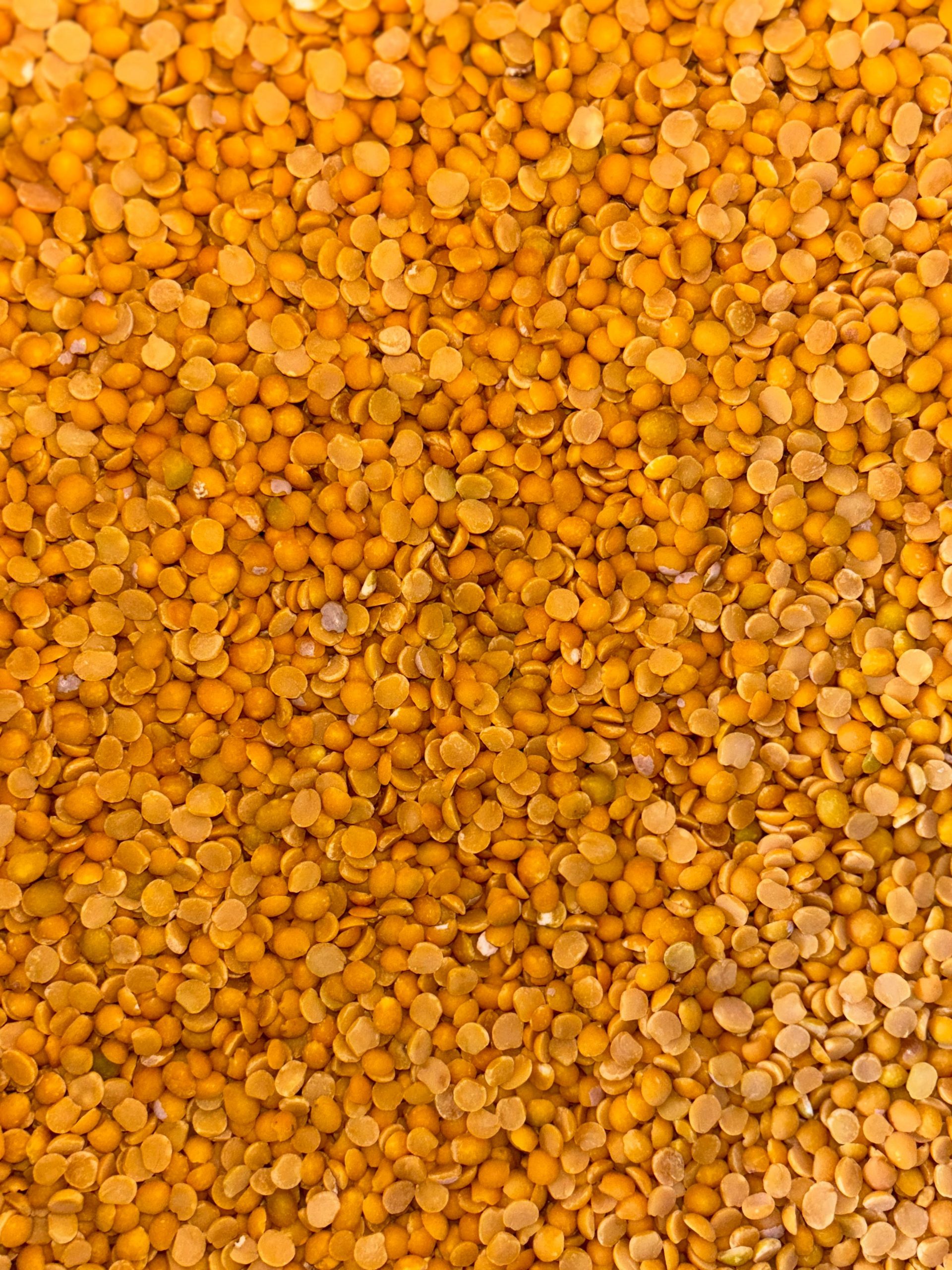 Red Gram Dal