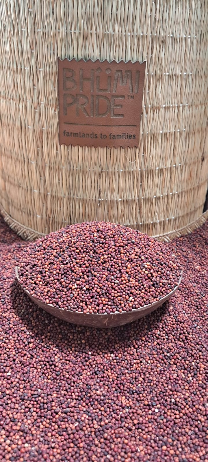 Finger Millet (Ragi)