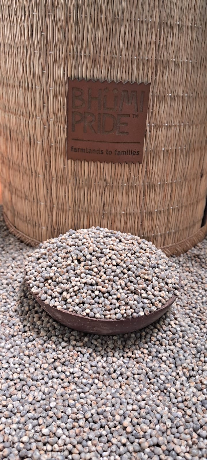 Pearl Millet (Cumbu)