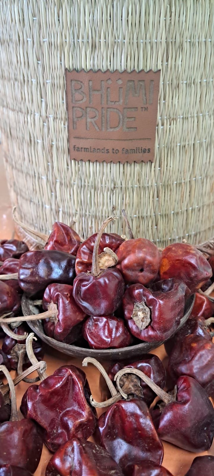 Red Chilli Round