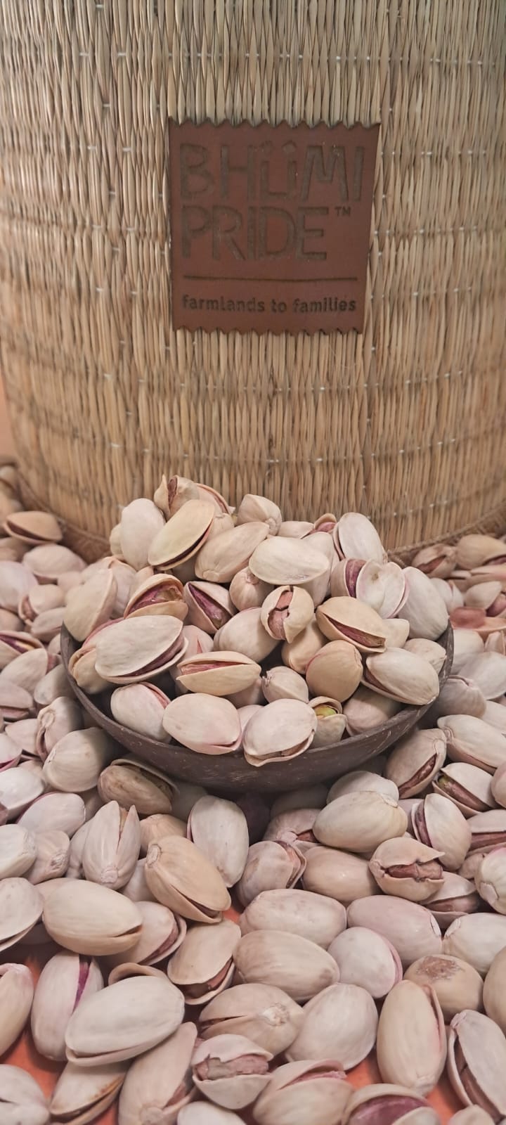 Pista
