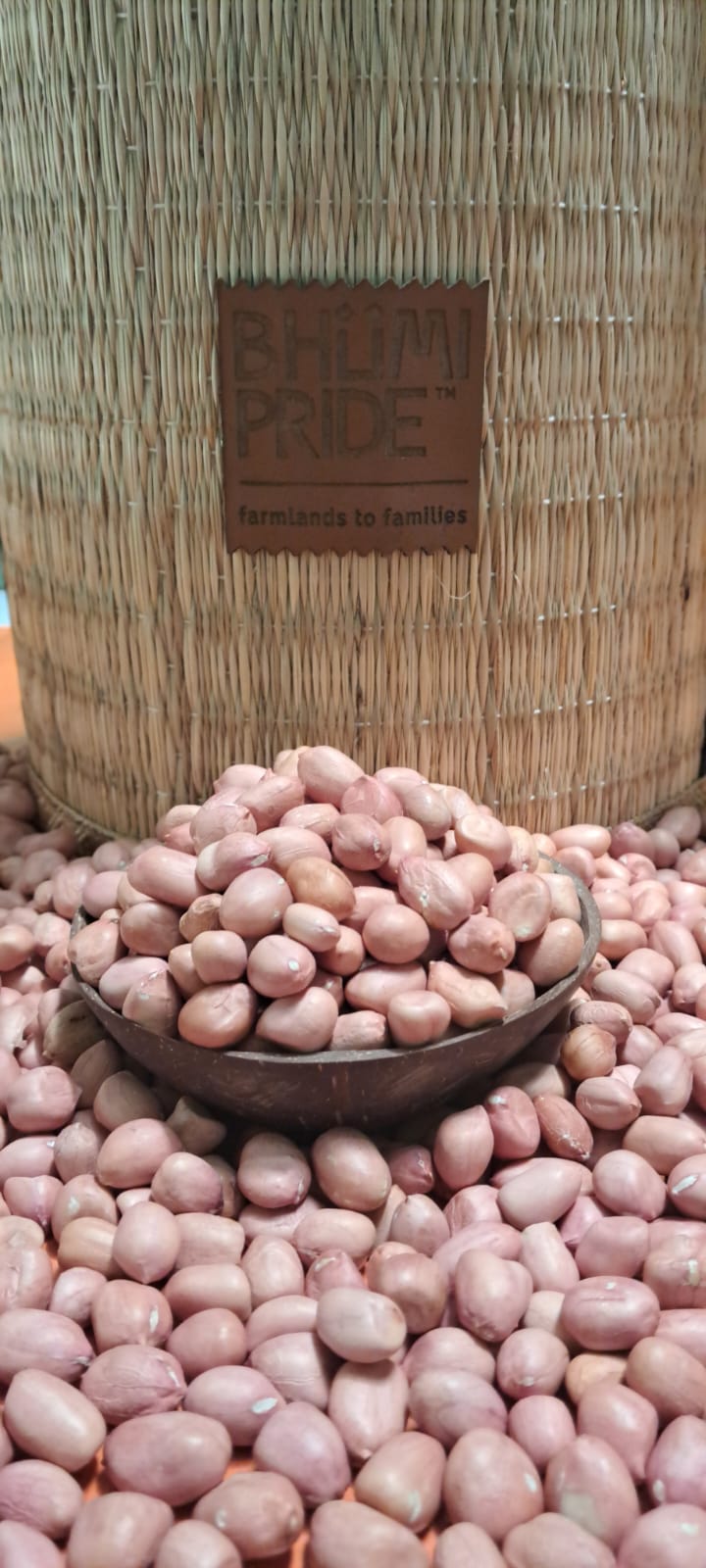 Groundnut – Graded